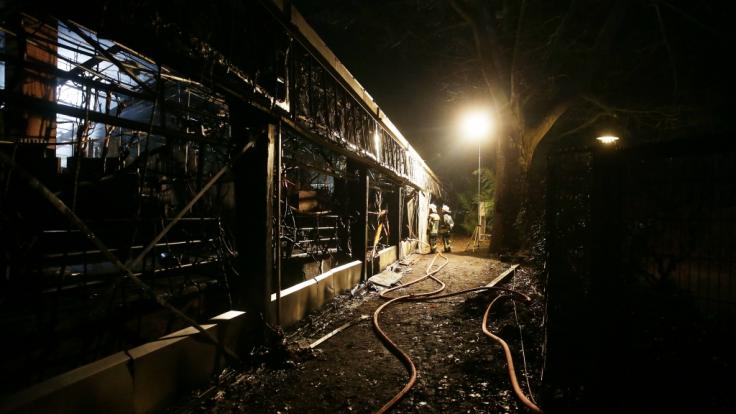 Bei einem Feuer im Krefelder Zoo sind in der Silvesternacht alle Tiere im Affenhaus verendet.