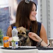 Auf den Hund gekommen: Prinzessin Sofia von Schweden ist ganz vernarrt in ihr Hündchen Siri.