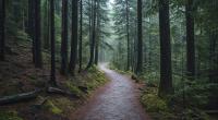 In einem Wald wurde der Junge zweimal vergewaltigt.