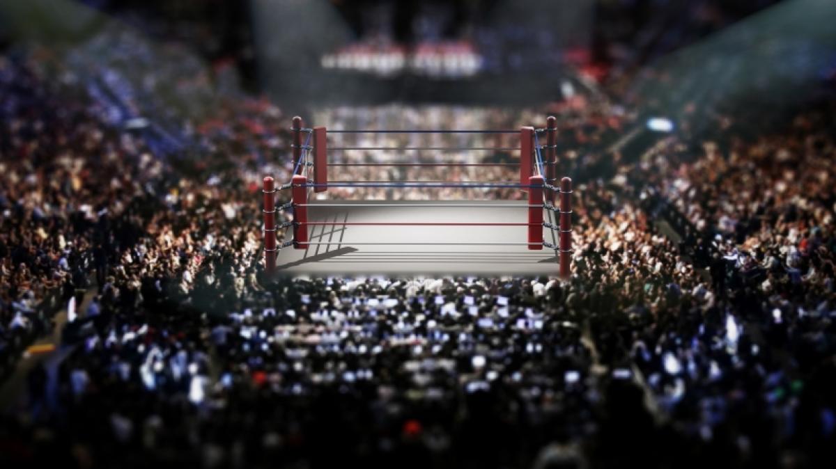 Wrestling-Star Hayabusa ist tot. (Foto)