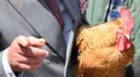 König Charles ist nicht nur vierbeinigen Haustieren, sondern auch Geflügel zugetan und selbst begeisterter Hühnerbesitzer.