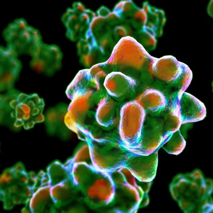 Affenpocken-Ausbruch droht! Patient schleppte Virus aus Nigeria ein