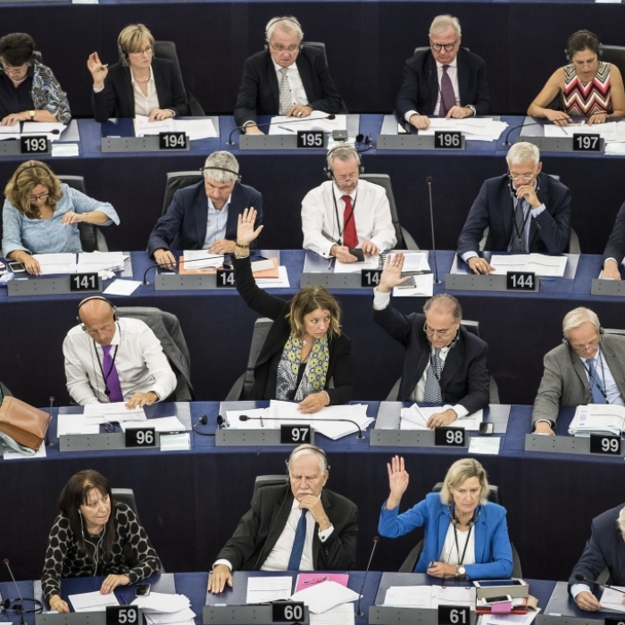 Deutsche EU-Abgeordnete stimmen für Antrag