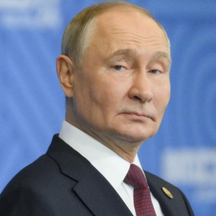 Putin bald 