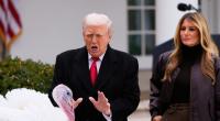 Donald Trump und First Lady Melania Trump stehen neben dem nationalen Thanksgiving-Truthahn Gobble während einer Begnadigungszeremonie im Rosengarten des Weißen Hauses.