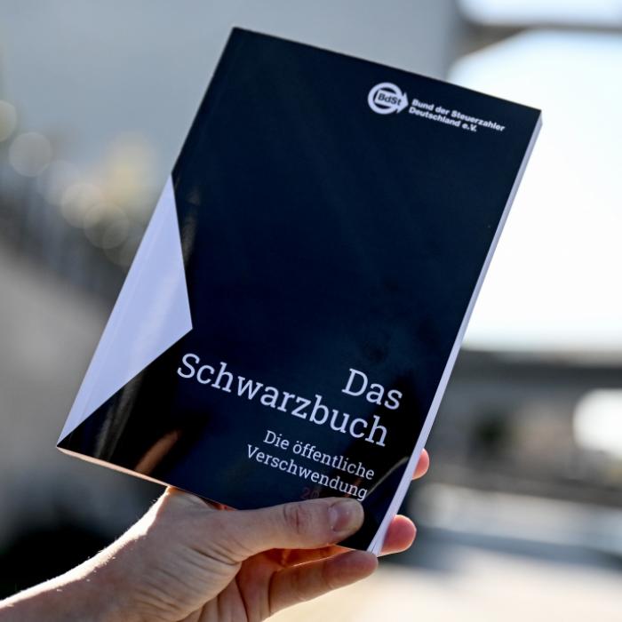 Steuergeld ist kein Spielgeld – doch so geht's weiter den Bach runter