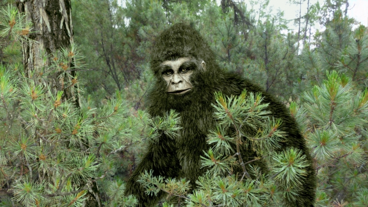 Der Kryptozoologe Andy McGarth ist &uuml;berzeugt davon, dass Bigfoot in den W&auml;ldern Europas lebt. (Foto)