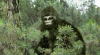 Der Kryptozoologe Andy McGarth ist überzeugt davon, dass Bigfoot in den Wäldern Europas lebt.