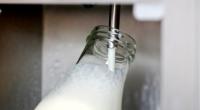 In den USA im Bundesstaat Florida sind 21 Menschen nach dem Verzehr von Rohmilch erkrankt. Nun wird vor den Risiken gewarnt.