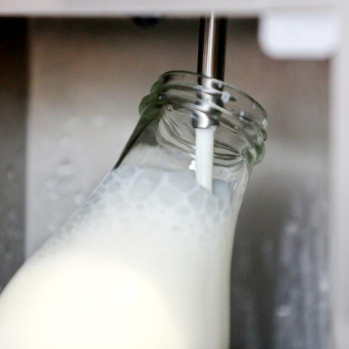 21 Menschen krank - Behörden warnen vor gefährlichen Milch-Verzehr