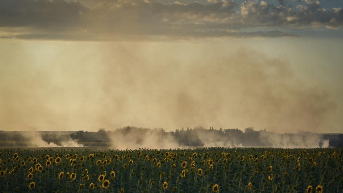 Ukrainische und russische Truppen liefern sich im Osten und S&uuml;den heftige Gefechte. (Foto)