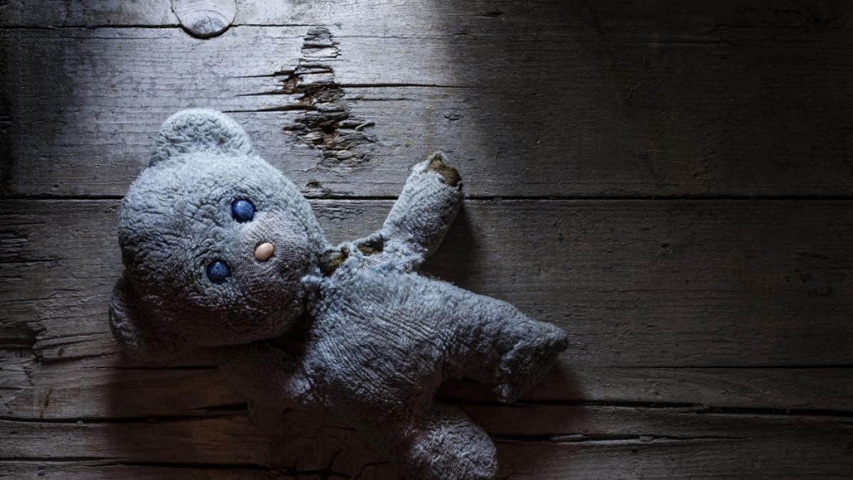 Frau besa&szlig; Videos, in denen Tiere Kinder vergewaltigten. (Symbolfoto) (Foto)