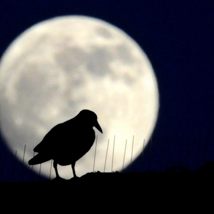 Das Astro-Spektakel! Asteroid trifft Supermond in EINER Nacht