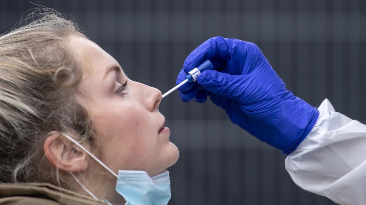 Wie lange ist man nach einer Coronavirus-Infektion immun? (Symbolfoto) (Foto)