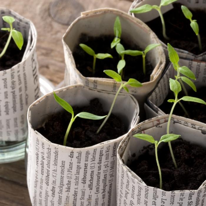 Geniale Gartentricks für Sparfüchse