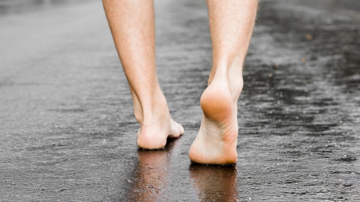 Ein Mann in der Eifel f&uuml;hrte jetzt leicht bekleidet seine Schlange spazieren. (Symbolbild) (Foto)