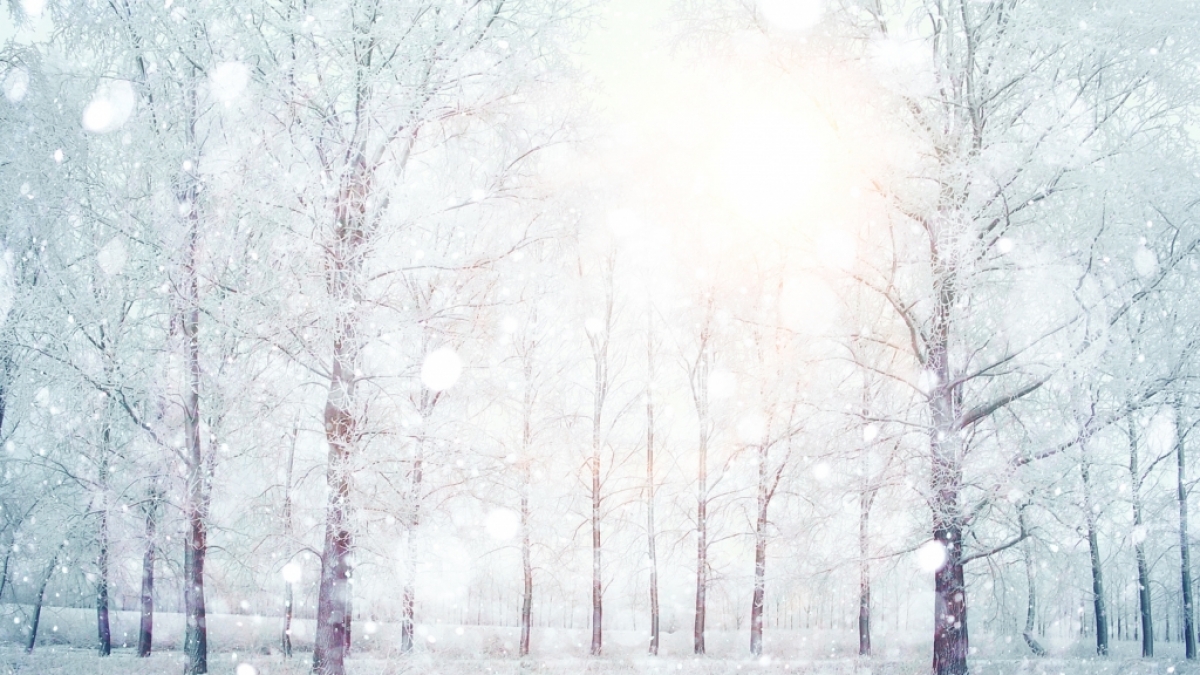 Wie wird das Winter-Wetter 2016/2017? (Foto)