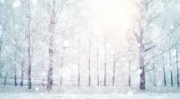 Wie wird das Winter-Wetter 2016/2017?