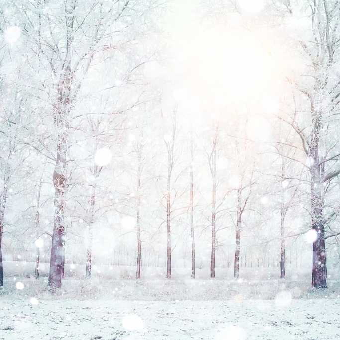 Aktuelle Wetter-Prognose: Haben wir 2016 wieder weiße Weihnachten?