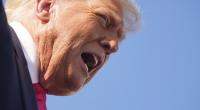 Jetzt will Donald Trump auch noch die Ferien streichen - zumindest für den Senat.