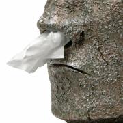 Frisches Taschentuch gefällig? Dann müssen Sie es dem Großen Moai aus der Nase ziehen...