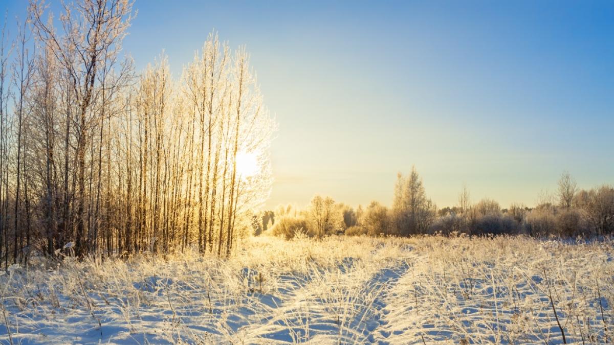 Die aktuellen Winter-Wetter-Aussichten im &Uuml;berblick. (Foto)