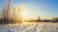 Die aktuellen Winter-Wetter-Aussichten im Überblick.