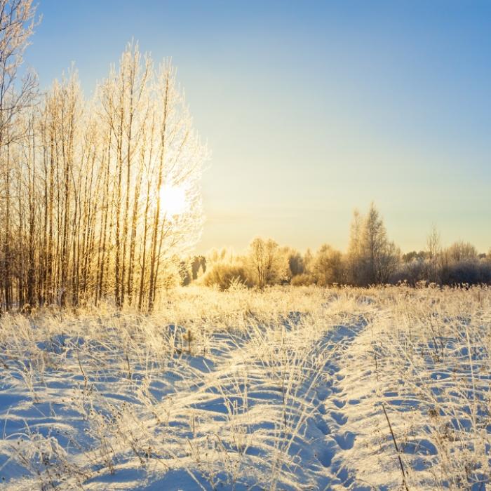 Wetter-Wechsel ab Montag! HIER schlägt die Polarluft nochmal zu