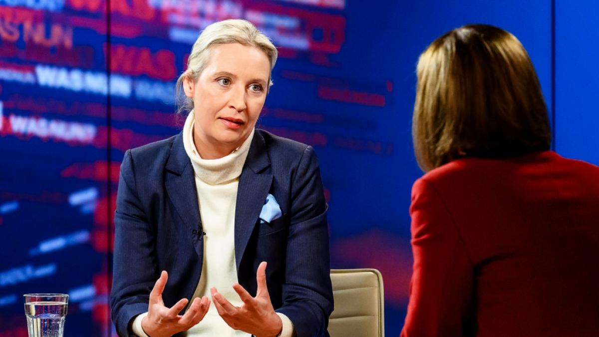In der ZDF-Sendung "Was nun, Frau Weidel?" bekr&auml;ftigte die AfD-Kanzlerkandidatin die Zusammenarbeit mit der Union. (Foto)