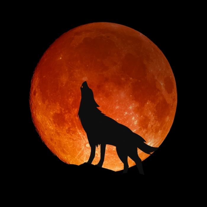 Was prophezeit uns der sterbende Blutmond?