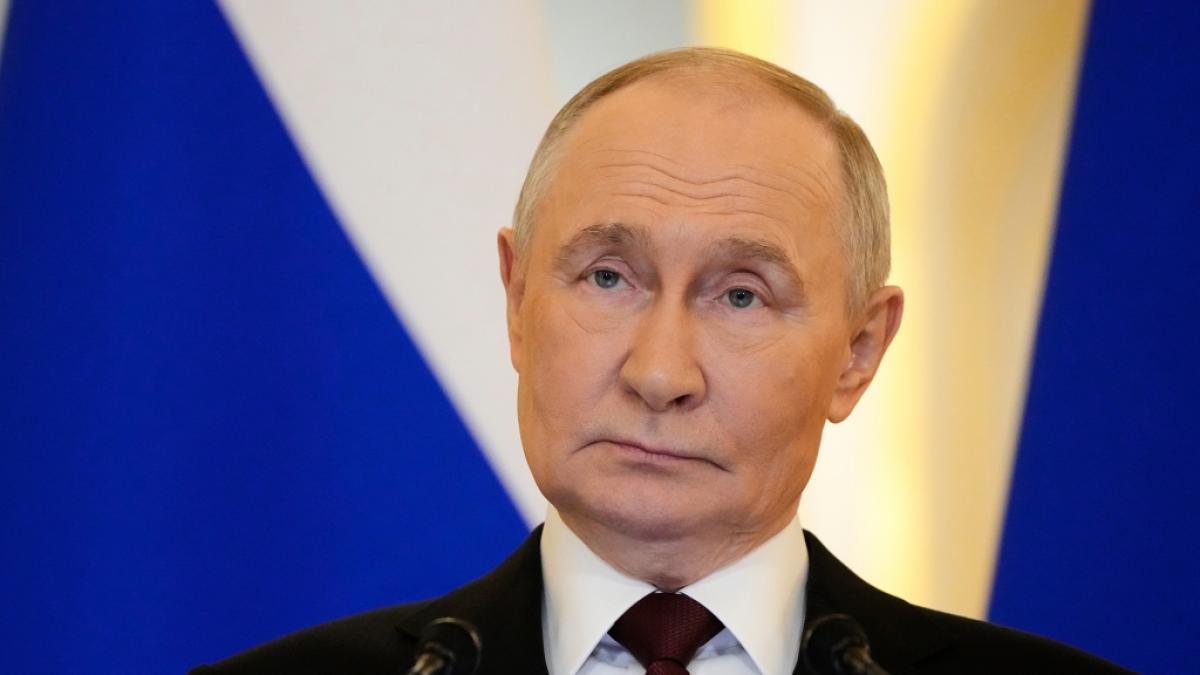 Wladimir Putin: Sein "Sturmvogel" ist jetzt einsatzbereit. (Foto)