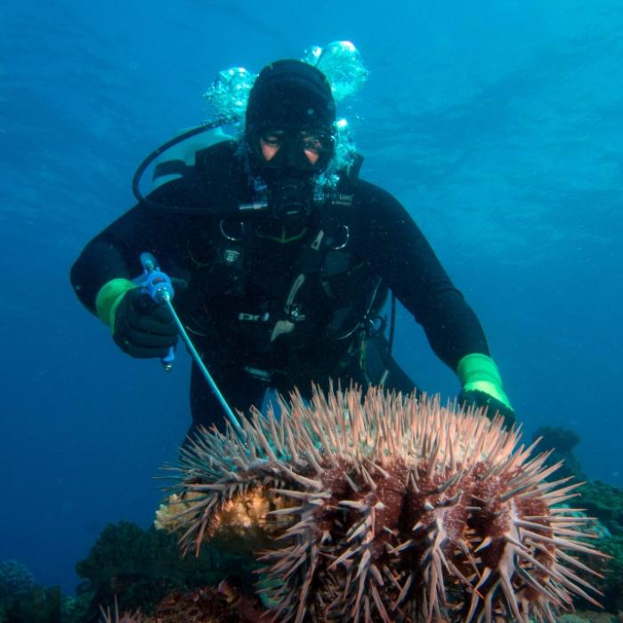 Gigantisches Unterwasser-Kondom gesichtet - was ist DAS für eine Kreatur?