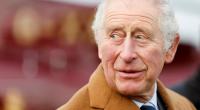 Prinz Charles will die Monarchie verkleinern.