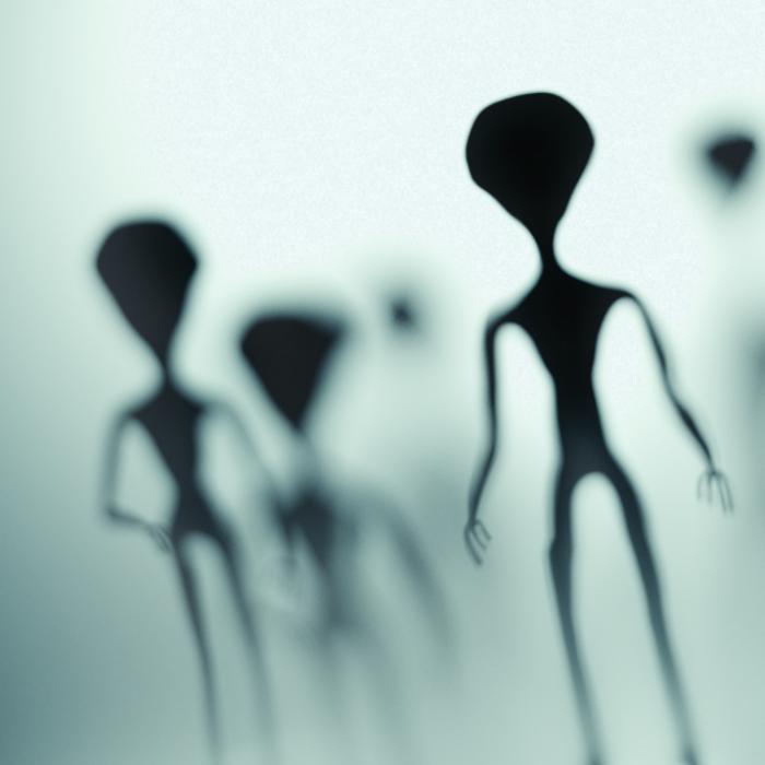 Riesiger Alien am Strand entdeckt! Zeuge postet Beweisvideo