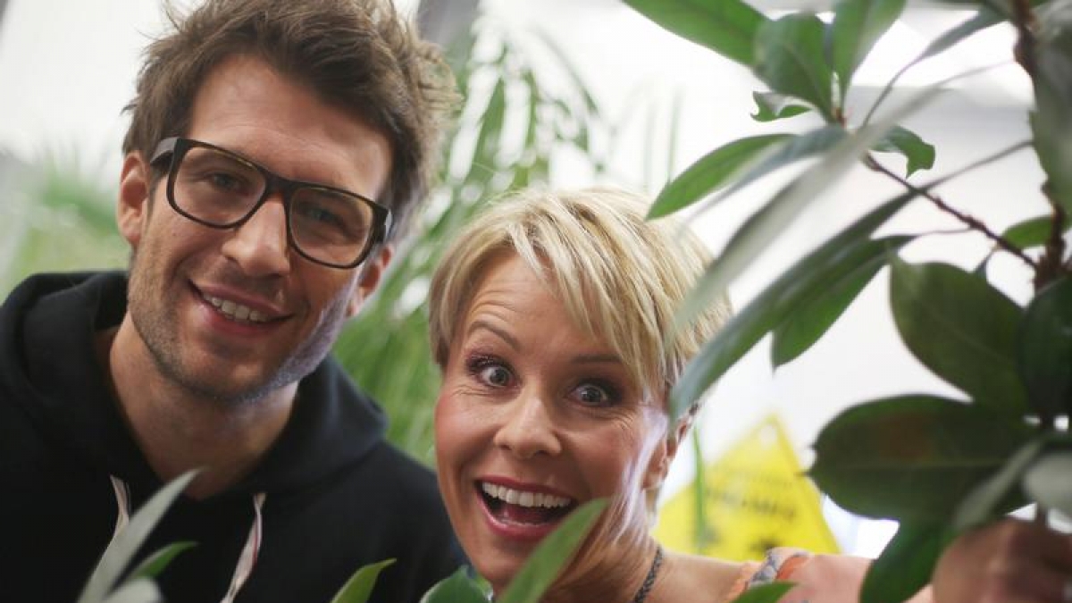 Ekelprüfungen, Selenstriptease und Zickenterror: Das RTL-Rezept für den Dschungel ging auch 2013 auf. (Foto)
