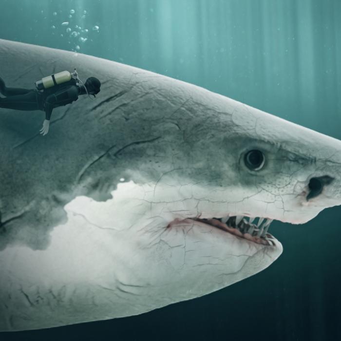 Beweisen diese Unterwasser-Aufnahmen die Rückkehr des Megalodon?