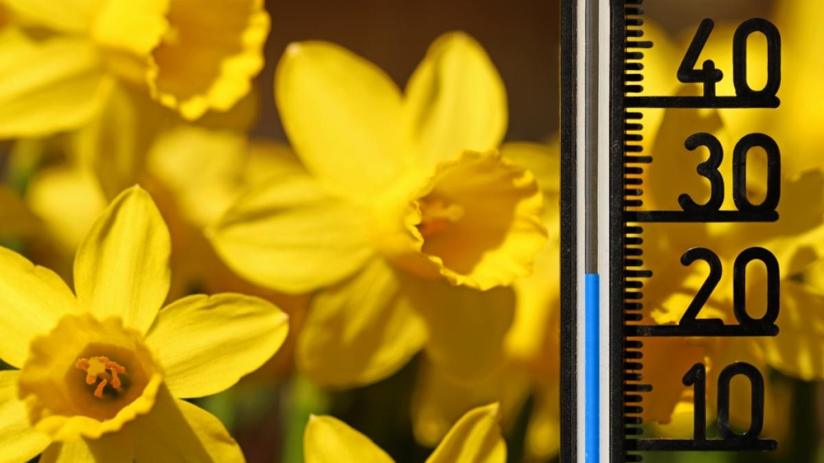 Steht uns der erste Sommertag in Deutschland bevor? (Foto)