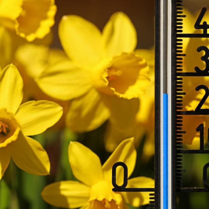 Bis 26 Grad in Deutschland! Hier eskaliert der Frühling