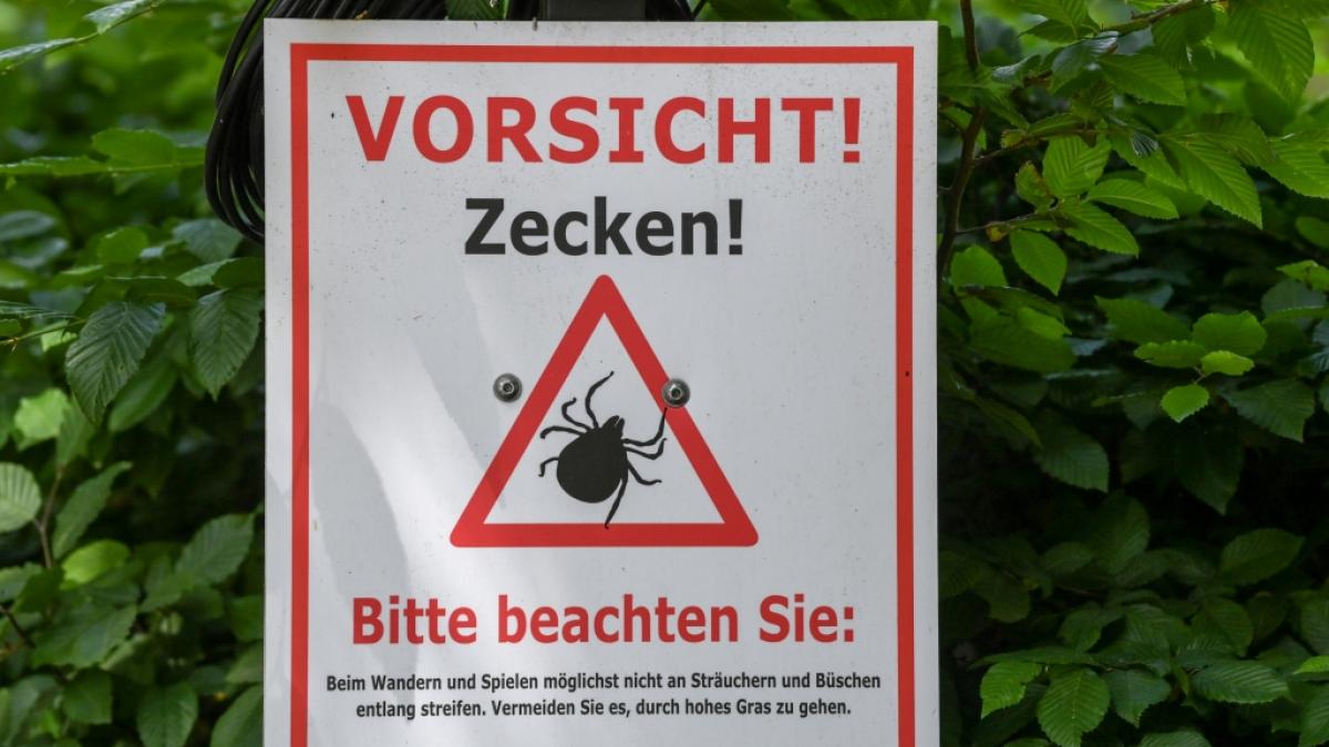 Das RKI hat die Risikogebiete f&uuml;r Zecken in Deutschland erweitert. (Foto)
