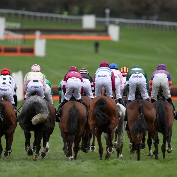 Todesschock überschattet Cheltenham-Pferderennen - Tierschützer empört