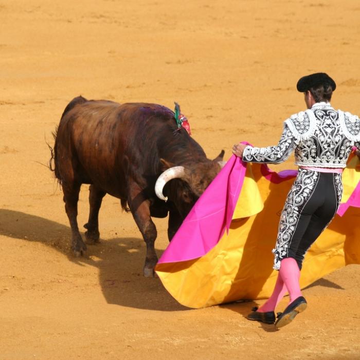 Eiskalt aufgespießt! Stier durchbohrt Matador
