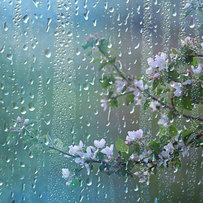 Erneuter Temperatursturz möglich! Meteorologen warnen vor Regen und Gewittern