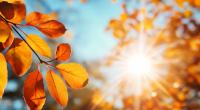 Es wird ungewöhnlich warm in der ersten November-Woche.
