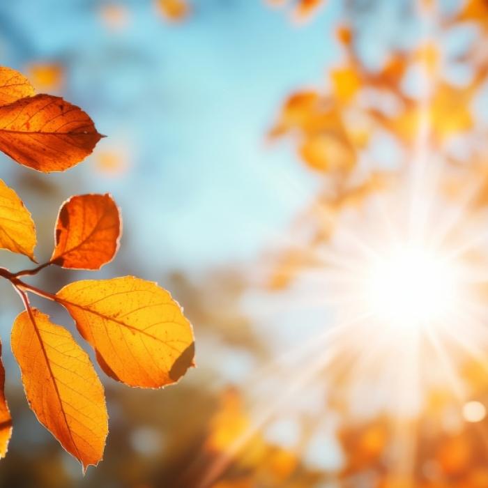 Herbstwetter spielt verrückt - Hitze-Hammer durch 