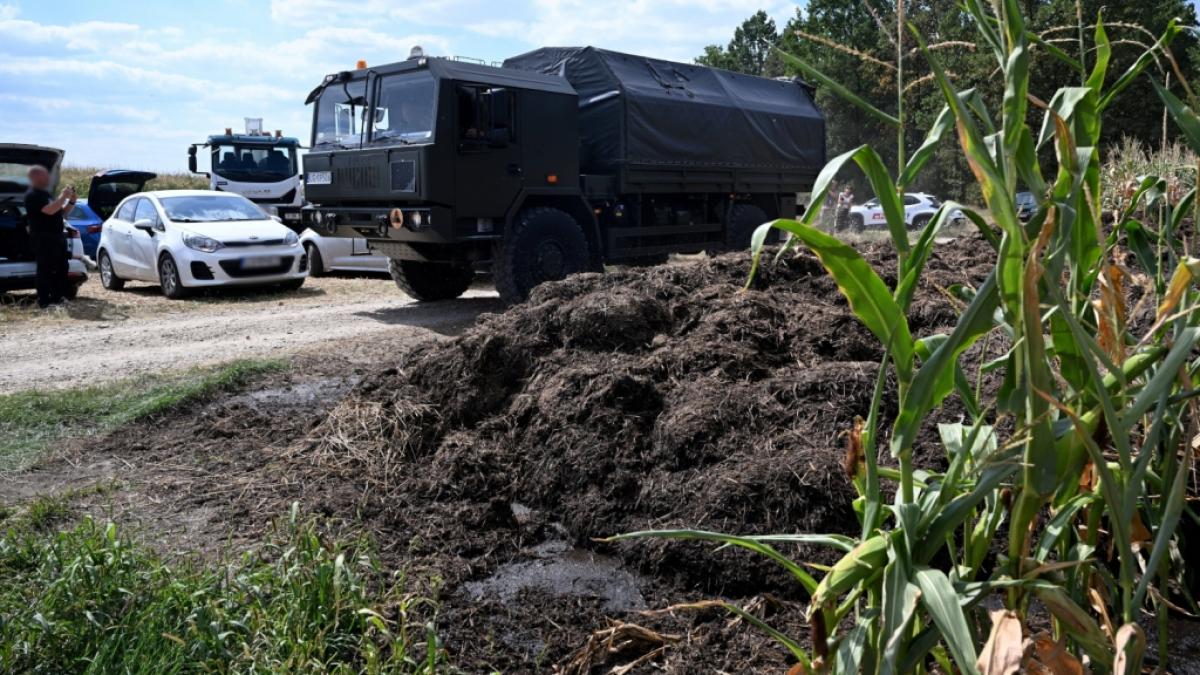 Die Einsatzkr&auml;fte sichern das Gebiet eines Maisfeldes im ostpolnischen Osiny, auf das am 20. August 2025 ein Objekt fiel, das inzwischen als russische Kampfdrohne identifiziert wurde. (Foto)