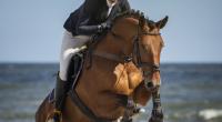 Der Reitsport trauert um Katharine Morel.