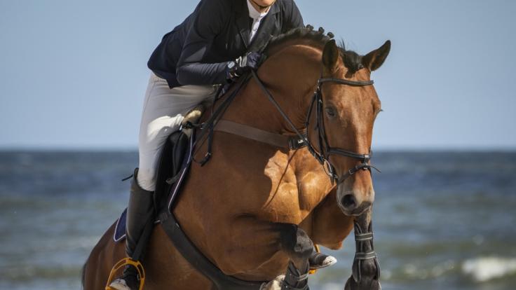 Der Reitsport trauert um Katharine Morel.