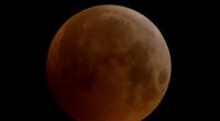 Leider ist die totale Mondfinsternis im November nicht von Deutschland aus sichtbar.