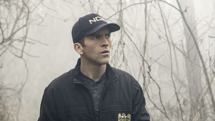 navy cis online sehen navy cis online sehen