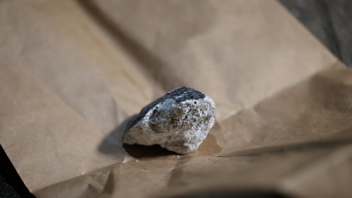 Ein wenige Zentimeter gro&szlig;es St&uuml;ck des Meteoriten. (Foto)